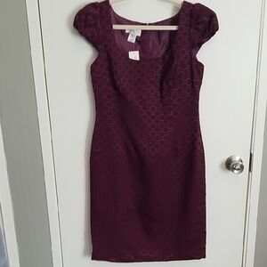 London Style Petites Dress - NWT